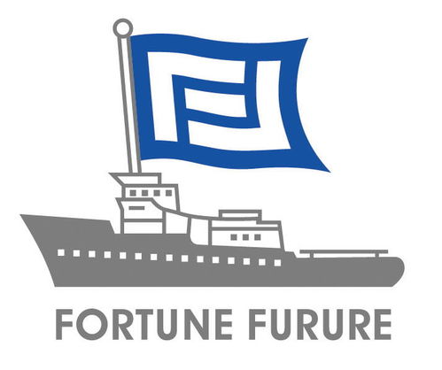 大连福程国际货运代理的软件开发之路 连接货代、工厂与厂商的数字化桥梁